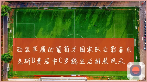 西装革履的葡萄牙国家队合影菲利克斯B费居中C罗稳坐后排展风采